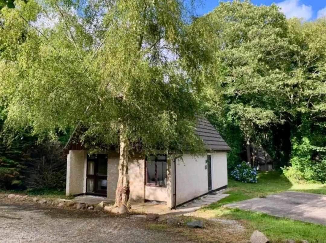 St Ives Bluebell Cottage מראה חיצוני תמונה